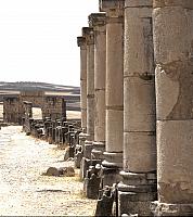 volubilis-ruins-columns