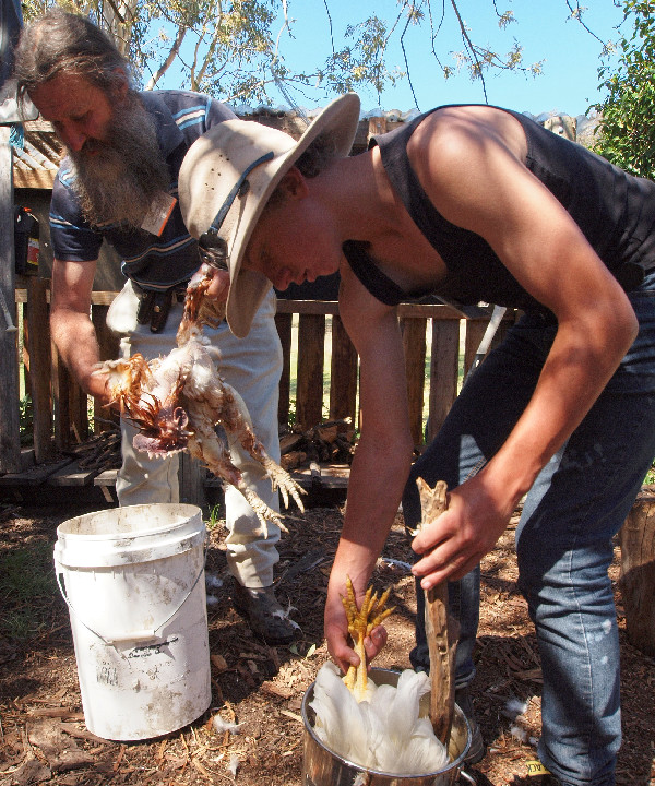 Donny with chicken 3